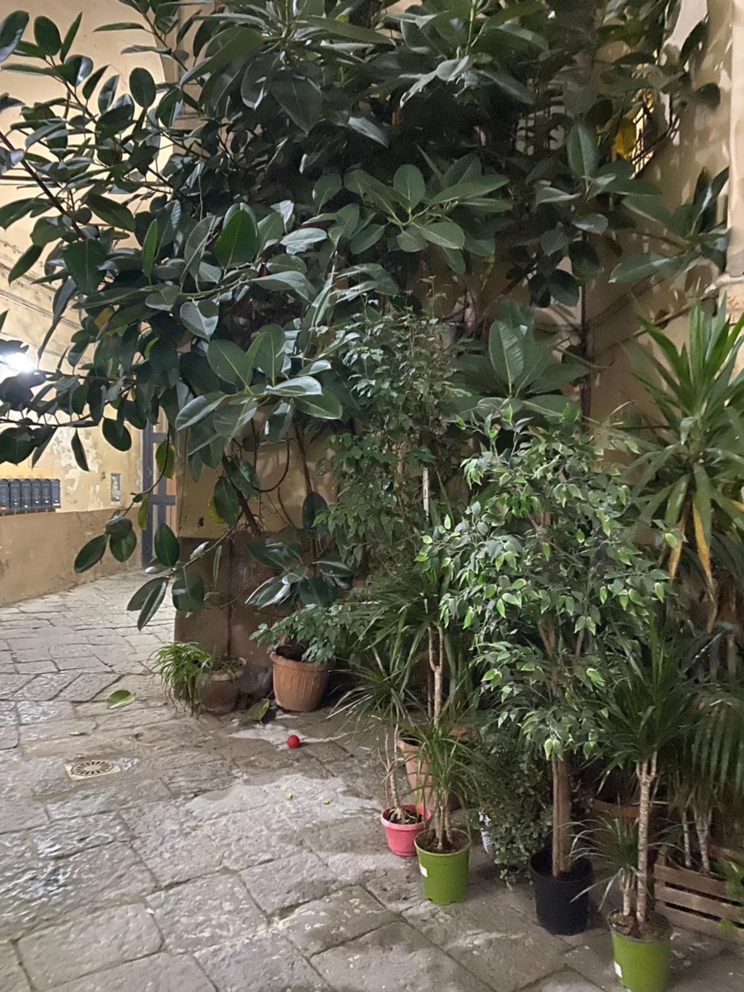 נאפולי The Paradise House מראה חיצוני תמונה